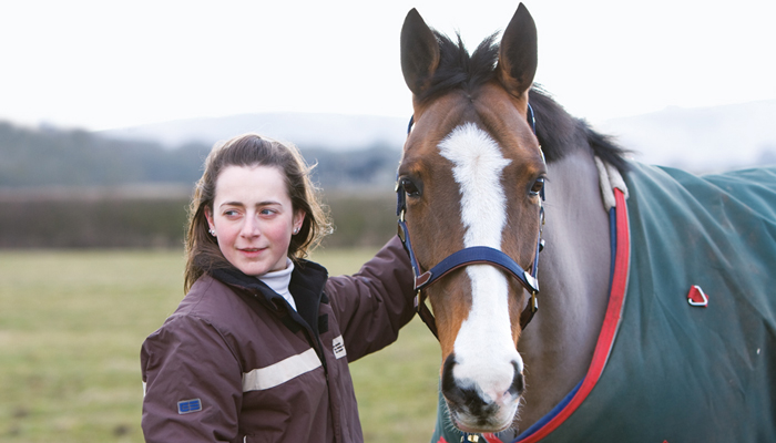 Horse passports