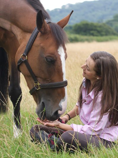 Pet ID Equine horse passports